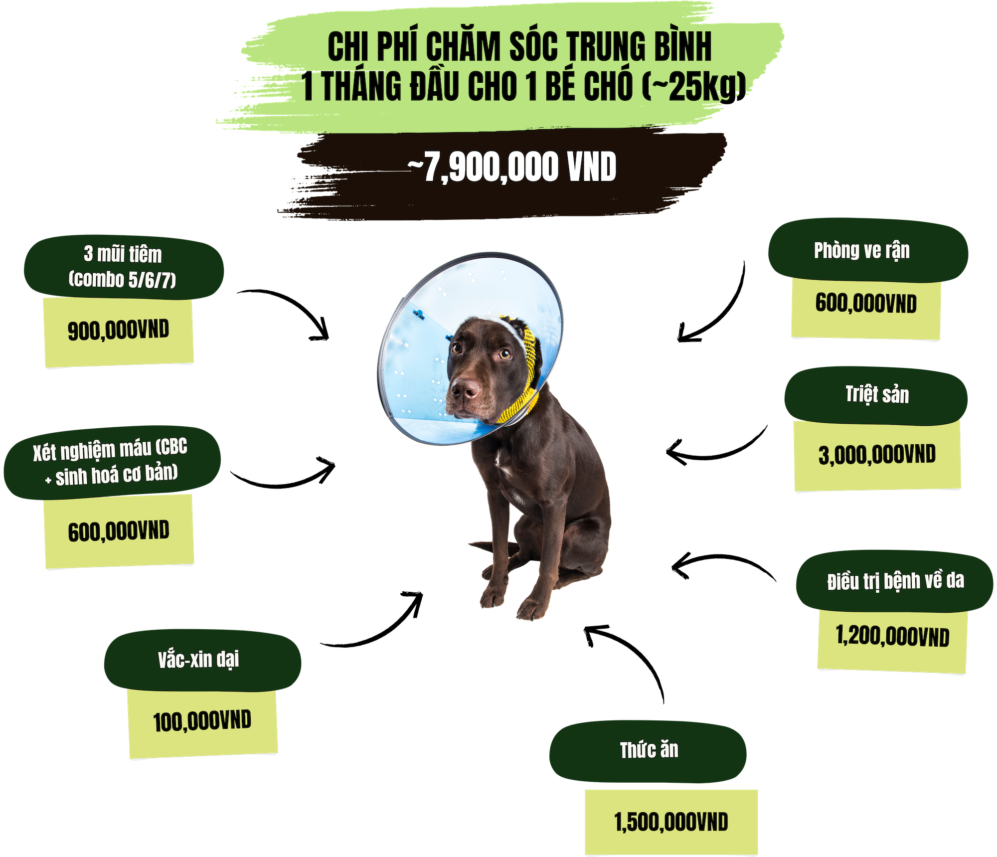 Havepaws AI Platform